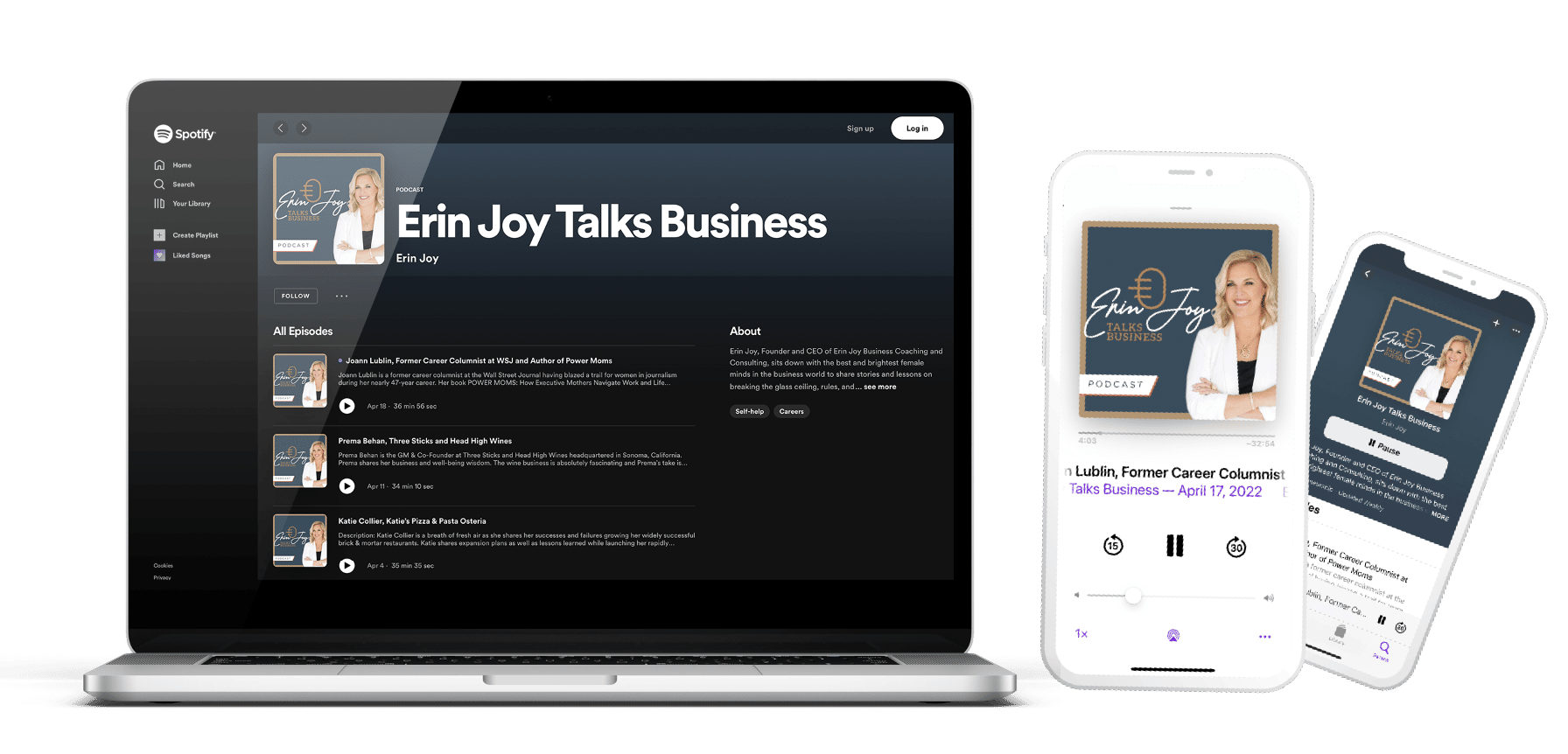 Erin Joy Talks Business Web Mocks
