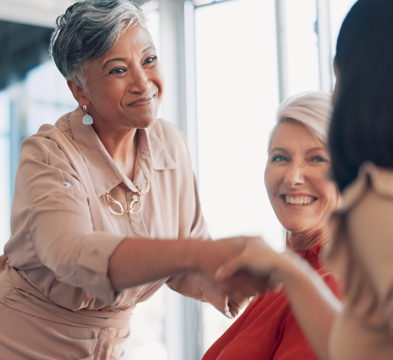 Women Shaking Hands